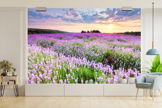 Papier peint - Papiers Papier peint photo - Mer de Fleurs Violette - Largeur 330 cm x Hauteur 220 cm