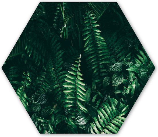Hexagon wanddecoratie - Kunststof Wanddecoratie - Hexagon Schilderij - Bladeren - Jungle - Natuur - Tropisch - Planten - 120x103 cm