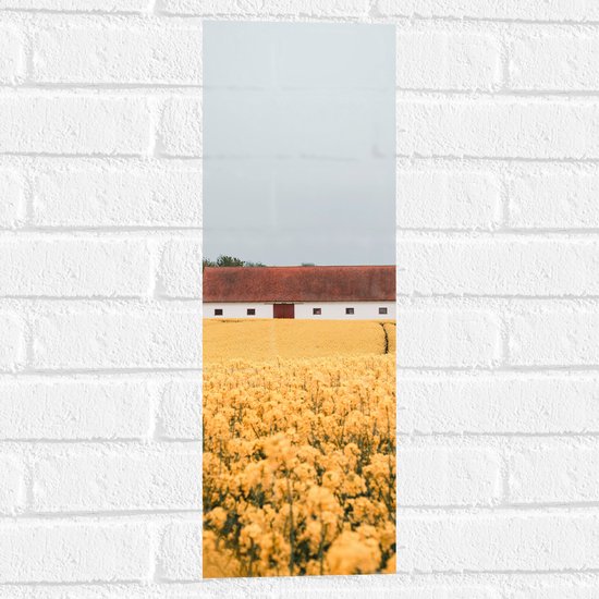 WallClassics - Muursticker - Witte Boederij tussen Gele Bloemen - 20x60 cm Foto op Muursticker