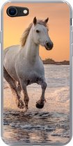 Geschikt voor iPhone SE 2020 hoesje - Paarden - Zon - Zee - Strand - Dieren - Siliconen Telefoonhoesje