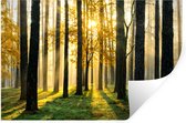 Stickers muraux - Sticker Foil - Forêt - Soleil - Arbres - Herbe - Paysage - Nature - 120x80 cm - Film Adhésif - Stickers muraux Chambre Enfant - Papier Peint Auto Adhésif