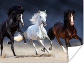 Poster Paarden - Dieren - Zand - 40x30 cm