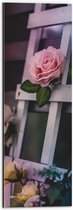 WallClassics - Dibond - Hekje met Kunstbloemen - 20x60 cm Foto op Aluminium (Wanddecoratie van metaal)