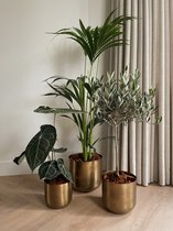 Indore Home - Planter Gold - Set van 3 - Bloempot Goud - Vaas Goud- Pot