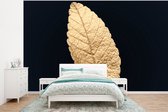 Behang - Fotobehang Black en gold - Bladeren - Zwart - Planten - Luxe - Breedte 295 cm x hoogte 220 cm
