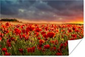 Poster Zonsondergang - Klaprozen - Rood - Bloemen - Veld - Natuur - 90x60 cm