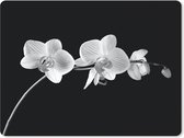 Muismat Groot - Orchidee - Bloemen - Zwart - Roze - Knoppen - 40x30 cm - Mousepad - Muismat