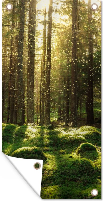 CANVASDOEK ZONNESCHIJN DOOR DE BOMEN | Wanddecoratie | 60 CM x 40 CM | Canvas | Foto