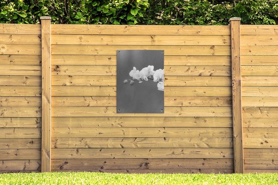 Tableau jardin Orchidée - Fleurs - Plante - Wit - Violet - 60x80 cm - Affiche jardin - Toile jardin - Affiche extérieur