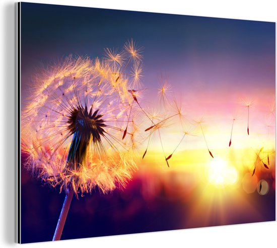 Wanddecoratie Metaal - Aluminium Schilderij Industrieel - Paardenbloem - Bloemen - Zonsondergang - Horizon - Nacht - 120x80 cm - Dibond - Foto op aluminium - Industriële muurdecoratie - Voor de woonkamer/slaapkamer