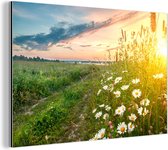 Wanddecoratie Metaal - Aluminium Schilderij Industrieel - Bloemen - Madelief - Natuur - Zon - Horizon - 60x40 cm - Dibond - Foto op aluminium - Industriële muurdecoratie - Voor de woonkamer/slaapkamer