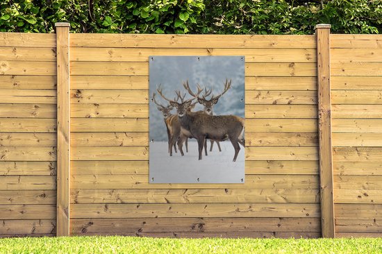 Affiche jardin - Toile jardin - Posters de jardin extérieur - Cerf - Animaux - Neige - Hiver - Paysage - Nature - 90x120 cm - Jardin