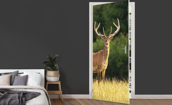 Sticker pour porte Cerf - Bois - Herbe - Nature - Animaux - Vert - 75x205 cm - Affiche de porte