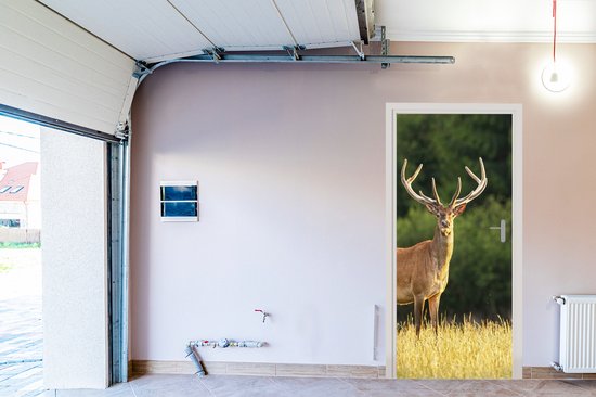 Sticker pour porte Cerf - Bois - Herbe - Nature - Animaux - Vert - 75x205 cm - Affiche de porte