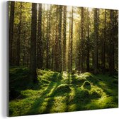 Wanddecoratie Metaal - Aluminium Schilderij Industrieel - Bomen - Bos - Mos - Planten - Zon - Natuur - 80x60 cm - Dibond - Foto op aluminium - Industriële muurdecoratie - Voor de woonkamer/slaapkamer