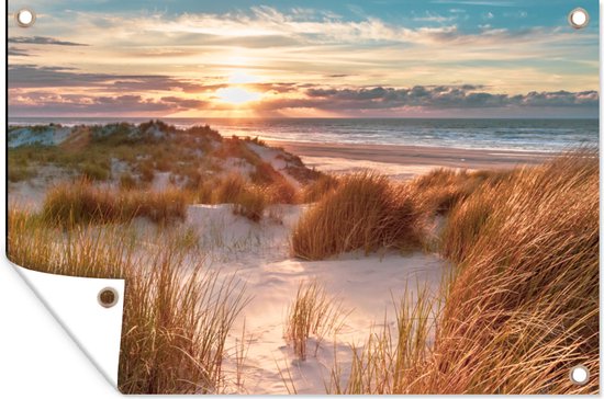 Affiche jardin - Toile Posters de jardin extérieur - Dune - Plantes - Coucher de soleil - Plage - Mer - 120x80 cm - Jardin