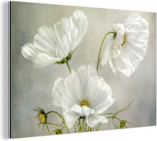 Wanddecoratie Metaal - Aluminium Schilderij Industrieel - Bloemen - Stilleven - Klaproos - Wit - Botanisch - 30x20 cm - Dibond - Foto op aluminium - Industriële muurdecoratie - Voor de woonkamer/slaapkamer