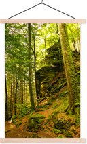 Posterhanger incl. Poster 120x180 cm - Schoolplaat - Bomen - Steen - Bos - Natuur - Planten - Textielposter - Blanke latten