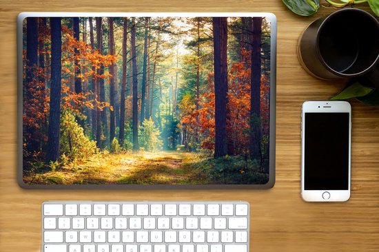 Sticker ordinateur portable - 15,6 pouces - Forêt - Soleil - Nature - Automne
