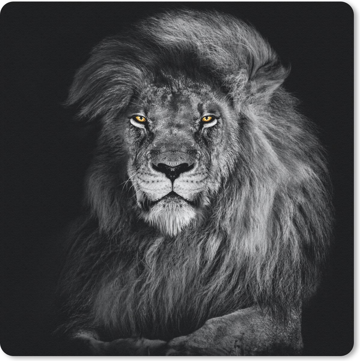 Muismat 20x20 cm - Mousepad Leeuw - Ogen - Oranje - Zwart wit - Dieren - Portret - Muismatten