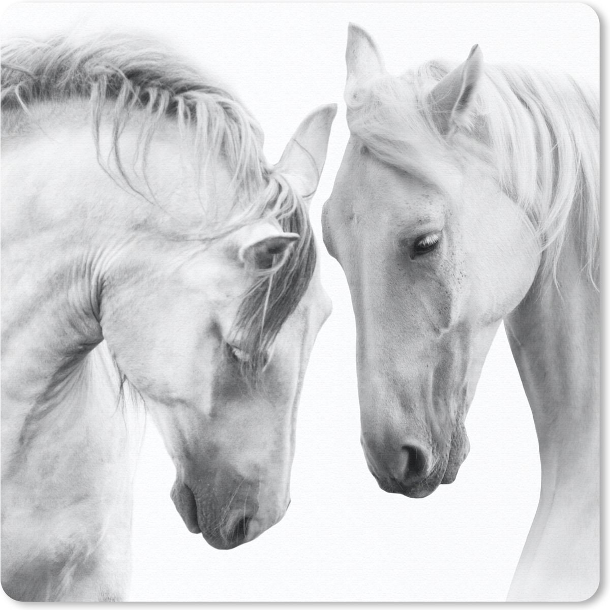 Muismat 30x30 cm - Mousepad Paard - Dieren - Portret - Wit - Muismatten