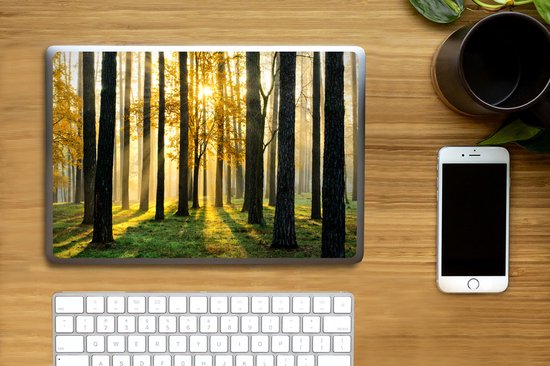 Autocollant pour ordinateur portable - 12,3 pouces - Forêt - Soleil - Arbres - Herbe - Paysage - Nature - 30x22cm - Autocollants pour ordinateur portable - Skin pour ordinateur portable - Housse