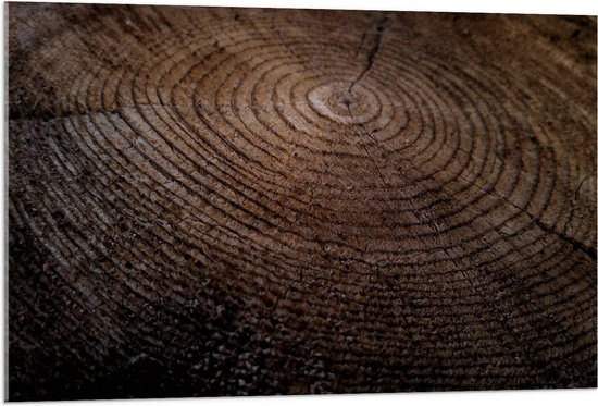 WallClassics - Verre acrylique - Vieux tronc d'arbre épais - Photo sur verre acrylique 105 x 70 cm (Décoration murale sur acrylique)