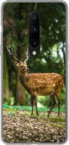Geschikt voor OnePlus 7 Pro hoesje - Hert - Bos - Dier - Siliconen Telefoonhoesje