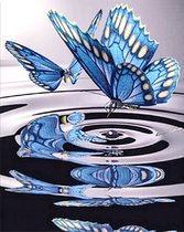 Diamond painting 30x40cm - vlinders op water - ronde steentjes