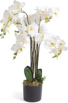 Levensechte orchidee kunstplant met pot - 75 cm - wit - orchidee plant - Kunstbloemen