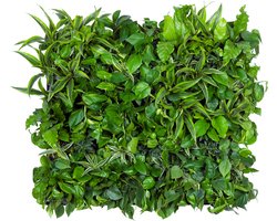 LivePanel PACK 2 X 2 Verticaal groen - Alles-in-1 groene wand systeem