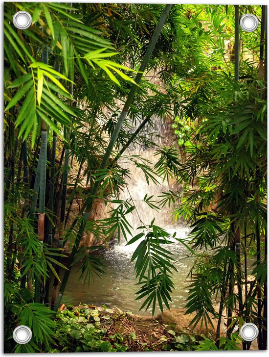 WallClassics - Tuinposter – Bamboe bij Waterval - 30x40 cm Foto op Tuinposter  (wanddecoratie voor buiten en binnen)