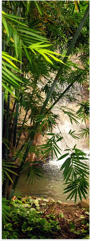WallClassics - Poster (Mat) - Bamboe bij Waterval - 30x90 cm Foto op Posterpapier met een Matte look