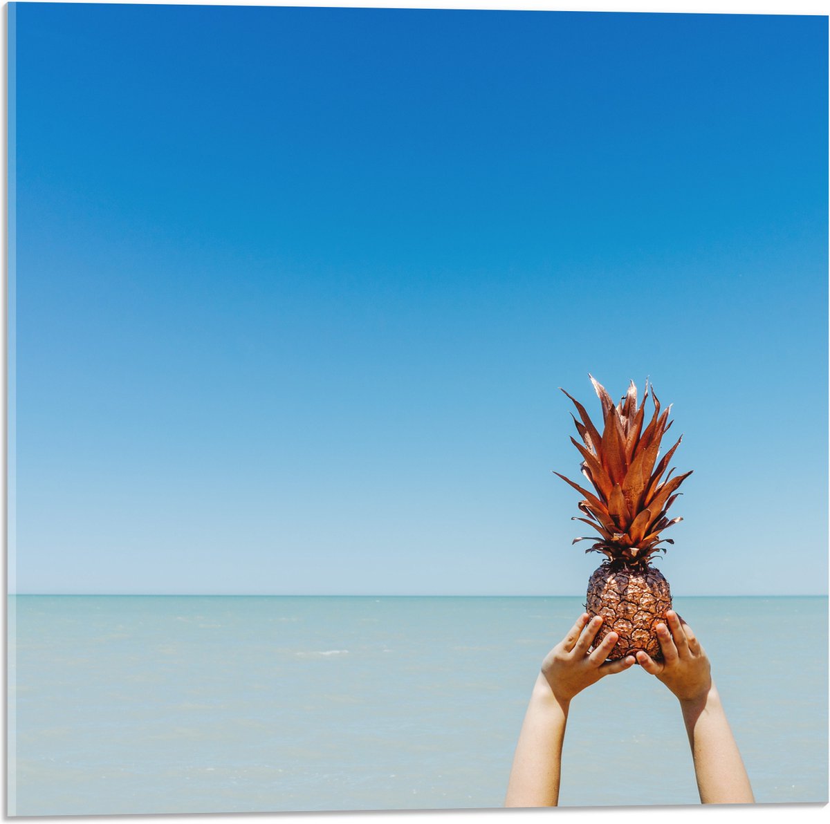 Acrylglas - Ananas boven de Zee - 50x50 cm Foto op Acrylglas (Wanddecoratie op Acrylaat)