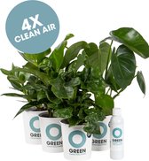 Ogreen Green Office planten pakket - Luchtzuiverend - Set van 4 stuks - Planten gifts - Kamerplanten - Cadeau - Planten Voeding - Giftbox - Geschenkset