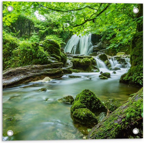 Groen natuurgebied met een waterval en mosbegroeide rotsen.