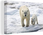 Ours polaire avec son petit Toile 60x40 cm - Tirage photo sur toile (Décoration murale salon / chambre) / Peintures sur toile Animaux