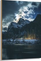 WallClassics - Hout - Lichten tussen de Bomen door - 80x120 cm - 12 mm dik - Foto op Hout (Met Ophangsysteem)