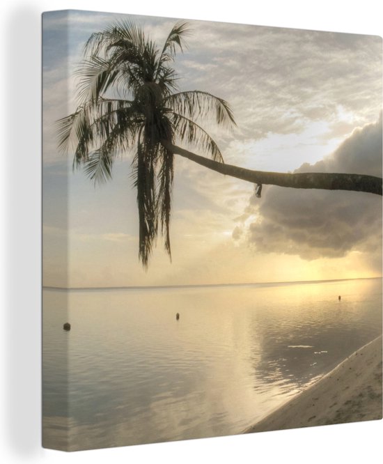 Canvas Schilderij Overhangende palmboom op het strand van Mo'orea - 50x50 cm - Wanddecoratie