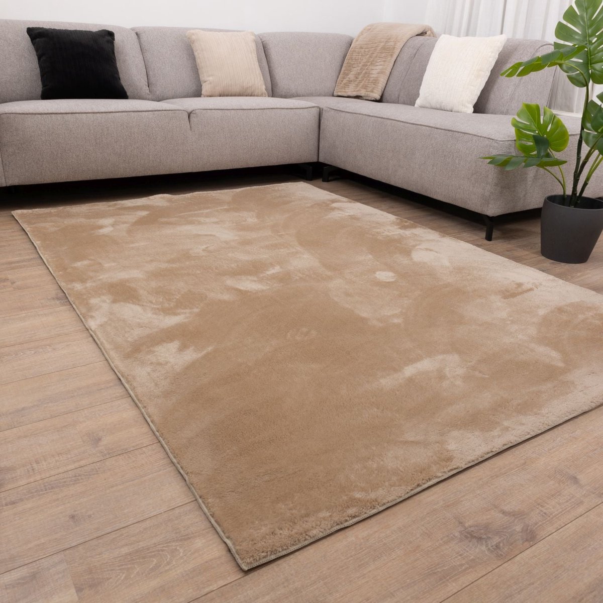 Beige Tapijt Wasbaar Laagpolig Vloerkleed met Anti Slip Koho Soft Comfort Wasbaar op 30° - 200x290cm- Modern - Woonkamer - Salon - Slaapkamer - Eetkamer