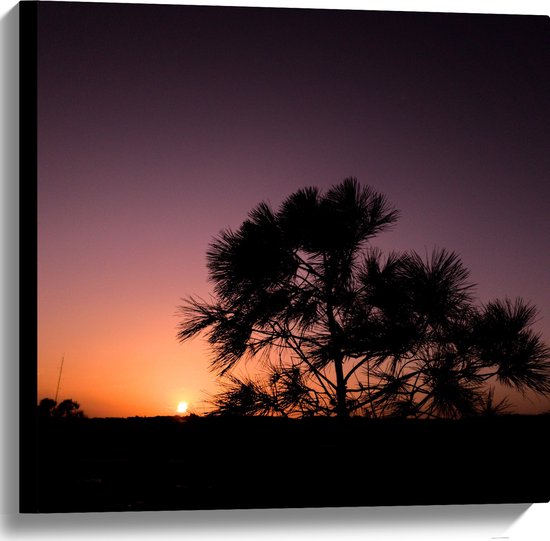 WallClassics - Toile - Silhouette de coucher de soleil derrière un arbre - 60x60 cm Photo sur toile (Décoration murale sur toile)