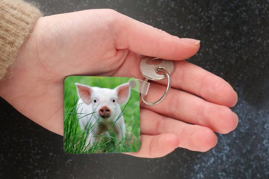 Porte-clés - Cadeaux - Cochon - Animaux - Porcelet - Plastique