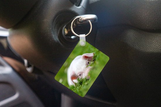 Porte-clés - Cochon - Animaux - Porcelet - Cadeaux à distribuer - Plastique - Cadeaux Sinterklaas - Cadeaux à distribuer pour les enfants - Cadeaux chaussures - Petits cadeaux