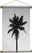 WallClassics - Textielposter - Silhouet van Smalle Palmboom (zwart/wit) - 40x60 cm Foto op Textiel