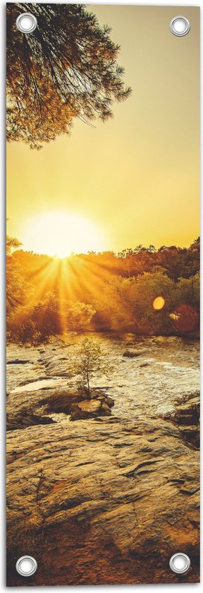 WallClassics - Poster Jardin - Le Soleil Disparaît Derrière les Arbres - 20x60 cm Photo sur Poster Jardin (décoration murale pour l'extérieur et l'intérieur)