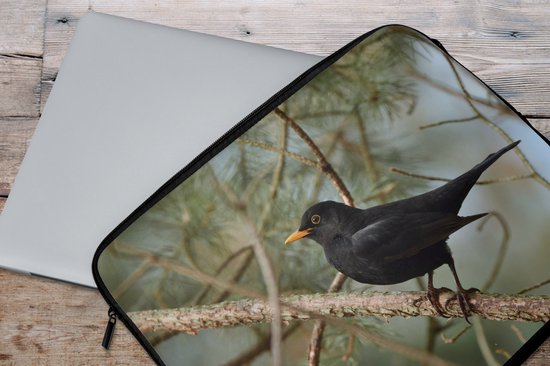 Housse pour ordinateur portable 15,6 pouces - Vogel - Merle - Branches - Animaux - Housse pour ordinateur portable - Dimensions intérieures 39,5x29,5 cm