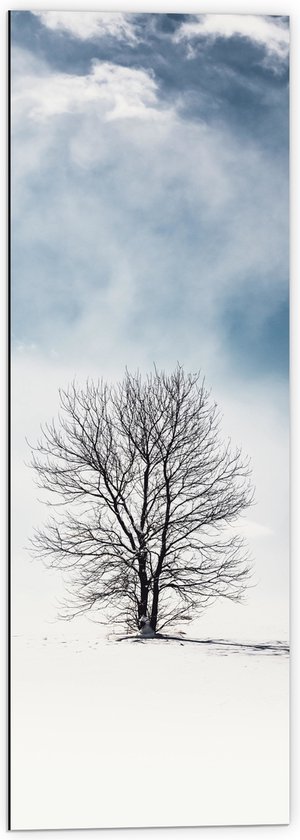 WallClassics - Dibond - Kale Eenzame Boom in Sneeuwlandschap - 40x120 cm Foto op Aluminium (Met Ophangsysteem)