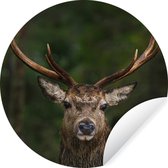 Wallpaper Circle - Cerf - Bois - Nature - ⌀ 120 cm - Wall Circle - Auto-adhésif - Round Wallpaper Sticker XXL