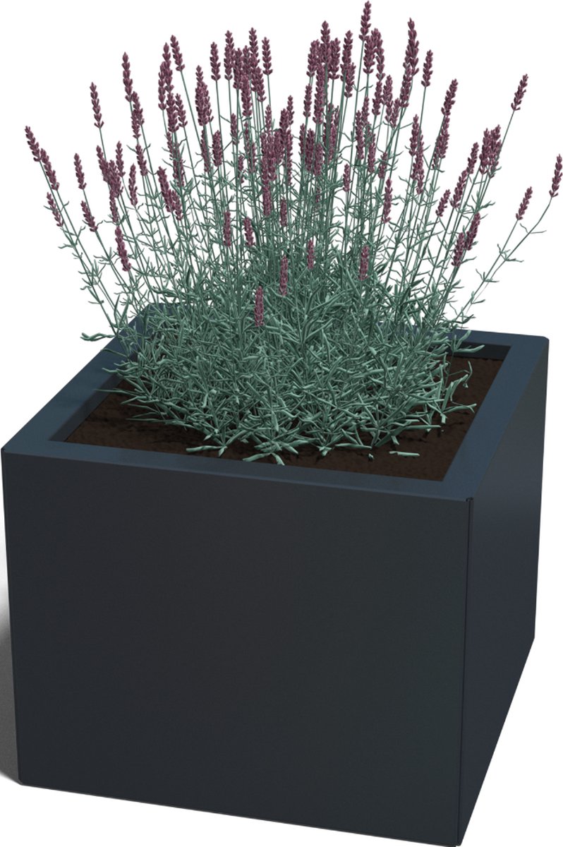 Gepoedercoat staal - plantenbak - Vierkant - 50x50x40cm - Antracietgrijs - Zonder bodem - MySteel