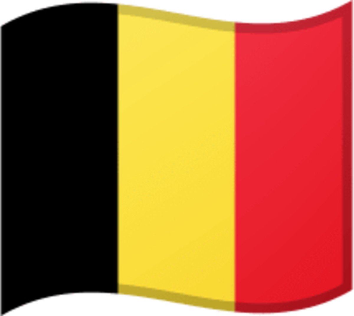 Gevelvlag Vlag Belgie Belgische Vlag Rode duivels bol